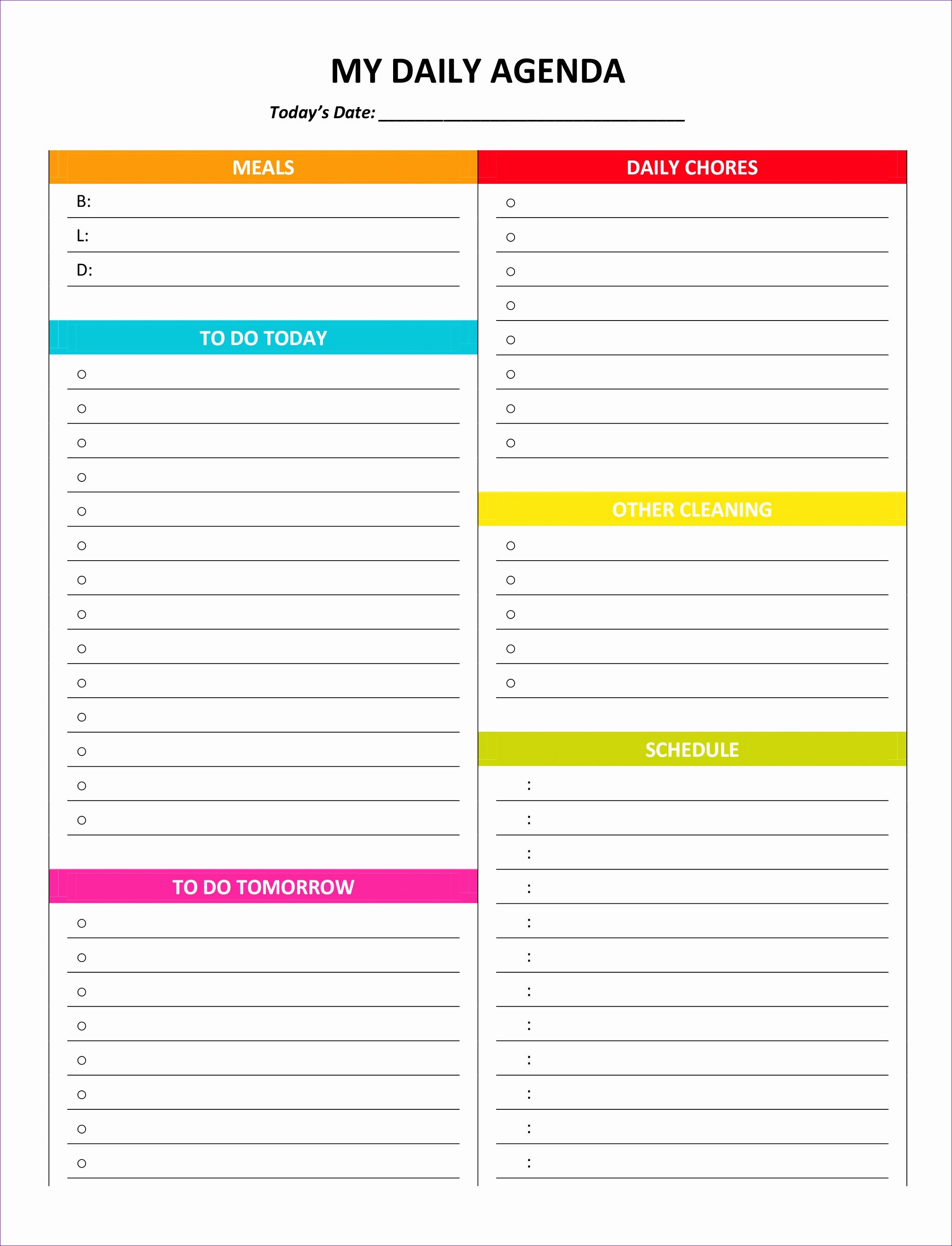 100 Day Plan Template 8 100 Day Plan Template Excel Exceltemplates