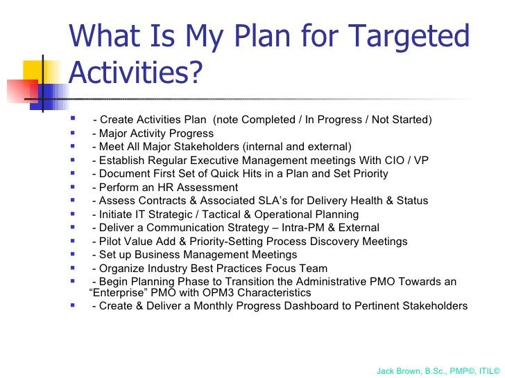 100 Day Planning Template 100 Day Plan for Directing A Pmo