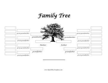3 Generation Family Tree 5 Generation Family Tree
