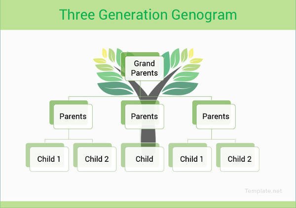 3 Generation Genogram Template 40 Genogram Templates Pdf Doc Psd