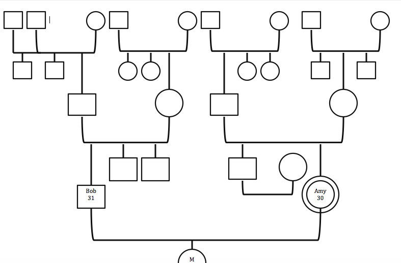 3 Generation Genogram Template Family Of origin Exploration for the therapist How to