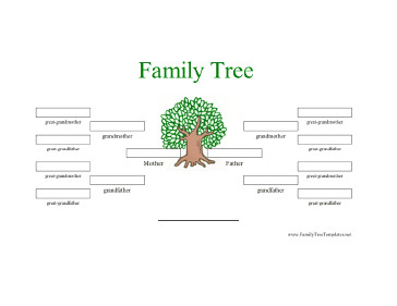 4 Generation Family Tree 4 Generation Family Tree In Color Template