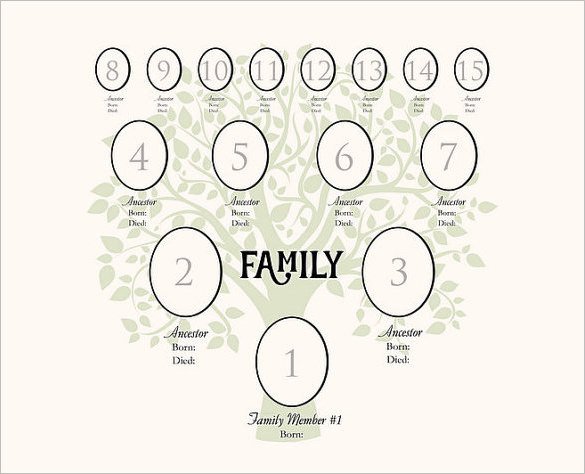 4 Generation Family Tree 4 Generation Family Tree Template – 12 Free Sample