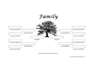 4 Generation Family Tree 4 Generation Family Tree Template