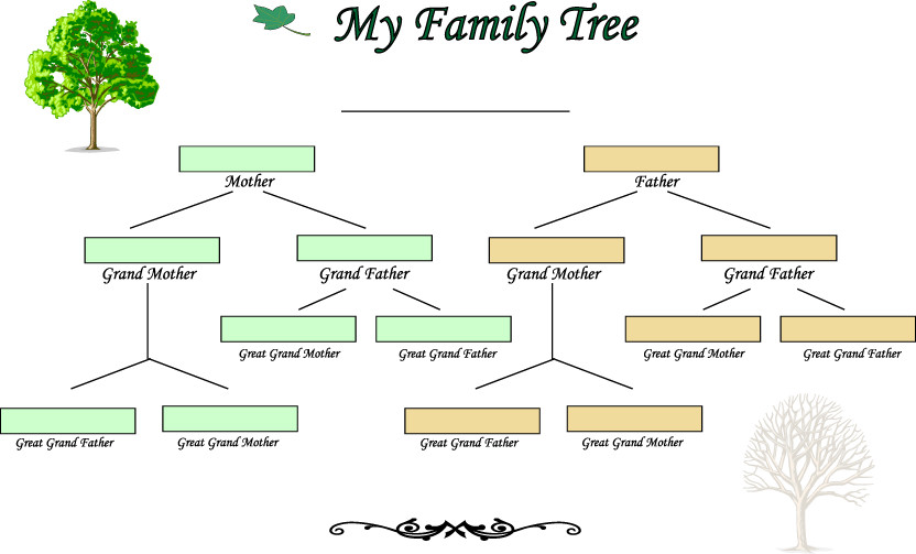 4 Generation Family Tree Blank Family Tree Template