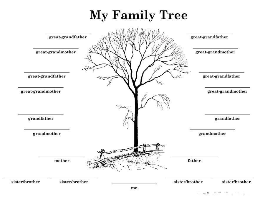 4 Generation Family Tree Download Family Tree Template 13