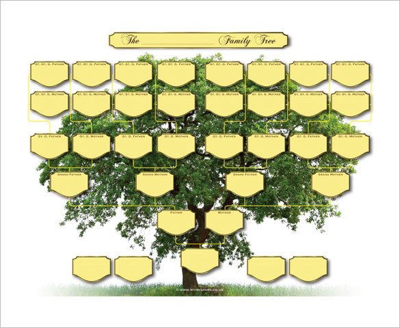 5 Generation Family Tree 5 Generation Family Tree Template – 10 Free Sample