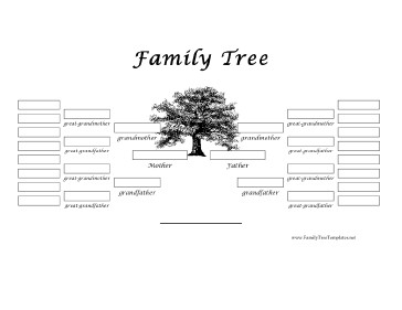 5 Generation Family Tree 5 Generation Family Tree Template