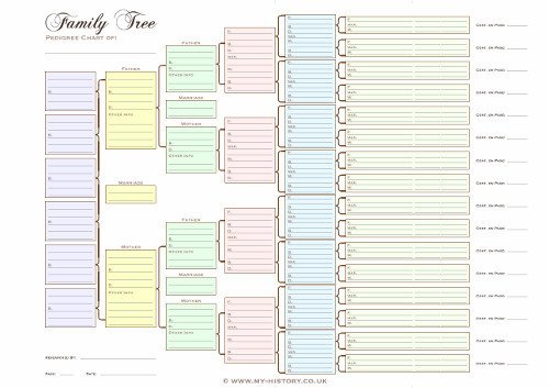 6 Generation Pedigree Chart A3 Six Generation Family Tree Chart Pedigree In Pastel