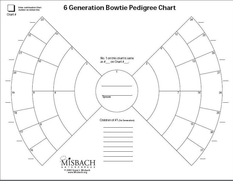 6 Generation Pedigree Chart Bowtie Chart by ©misbach