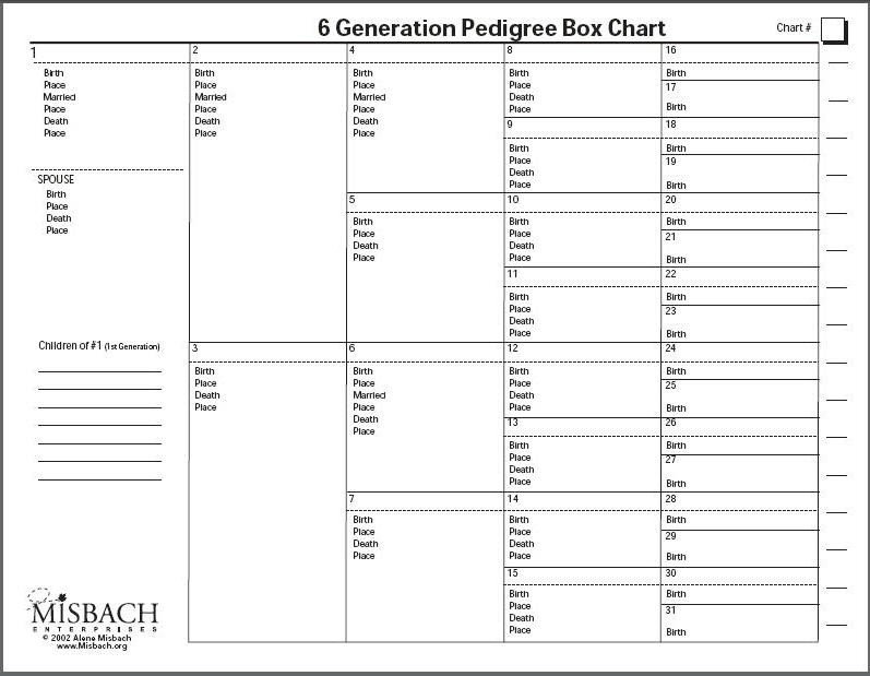 6 Generation Pedigree Chart Box Chart by ©misbach