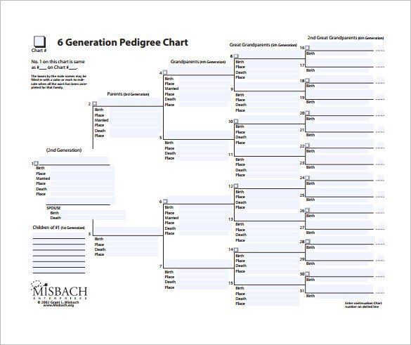 6 Generation Pedigree Chart Family Tree Chart Template – 11 Free Sample Example
