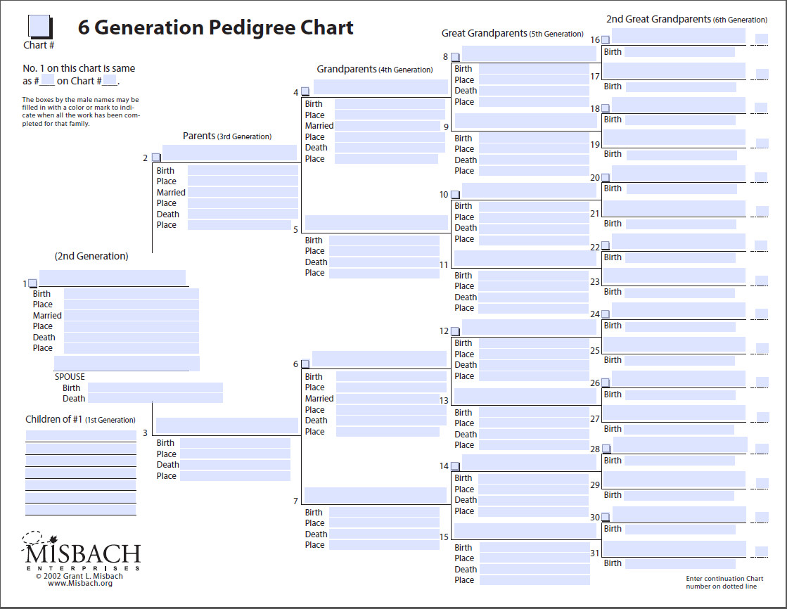 6 Generation Pedigree Chart Free Family Tree Templates