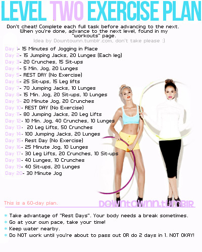 60 Day Workout Plan Level Two Exercise Plan Favething