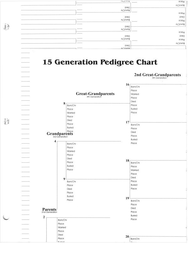 7 Generation Pedigree Chart 15 Generation Pedigree Chart