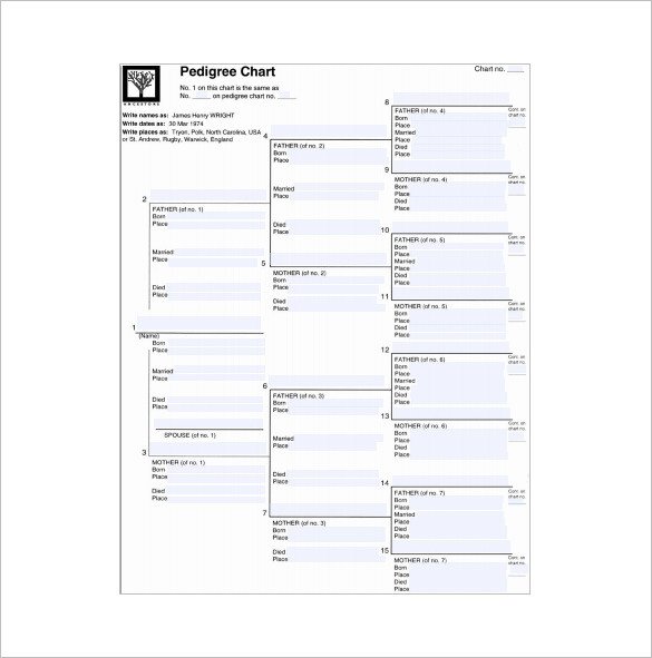 7 Generation Pedigree Chart 7 Generation Family Tree Template – 12 Free Sample