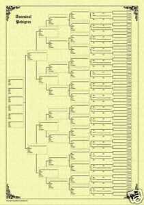 7 Generation Pedigree Chart Family Tree Chart 7 Generation Pedigree Parchment
