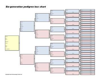 8 Generation Family Tree Template This Free Printable Genealogy form is Also Known as A