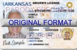 Arizona Id Template California Fake Id and Fake Drivers License and Novelty Id