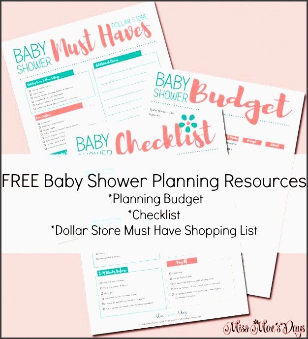 Baby Shower Planner Template 9 Free Baby Shower Planner Template Sampletemplatess