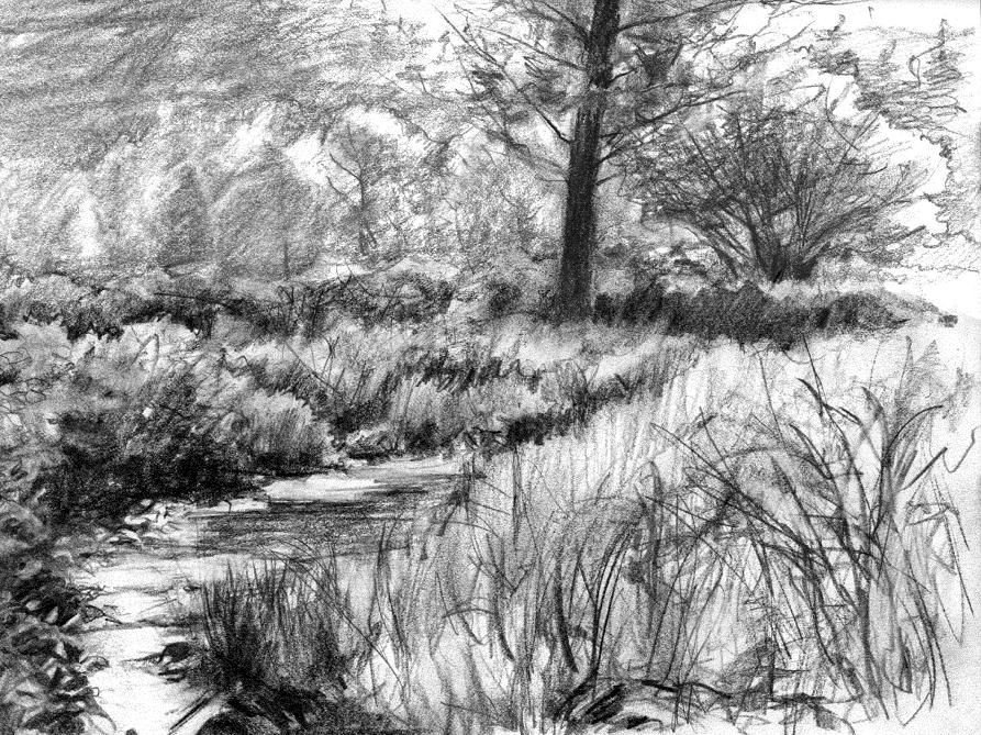 Beautiful Drawings Of Nature Pencil Sketches Of Nature Scenery