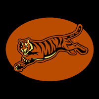Bengals Pumpkin Carving Stencils Cincinnati Bengals 13 Stoneykins Pumpkin Carving