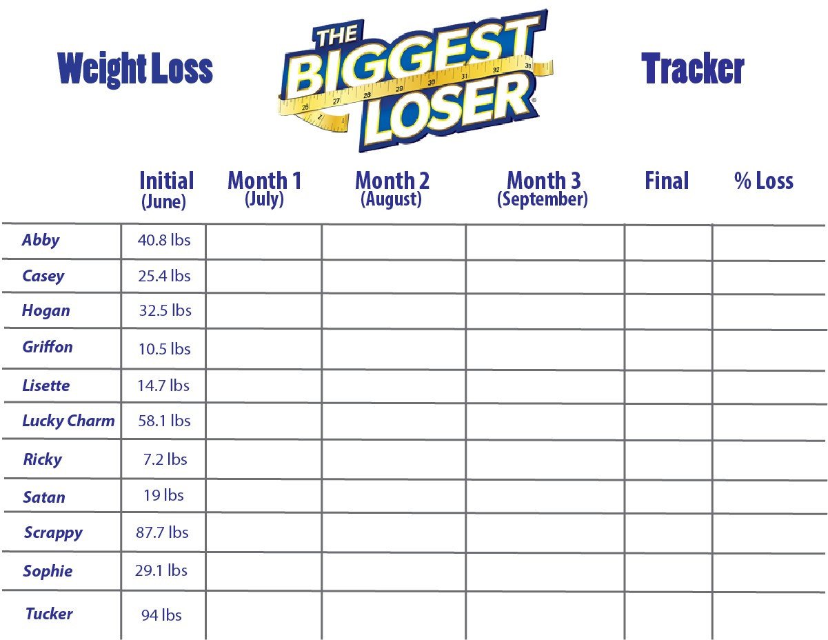 Biggest Loser Certificate Template 27 Of Weight Loss Contest Template