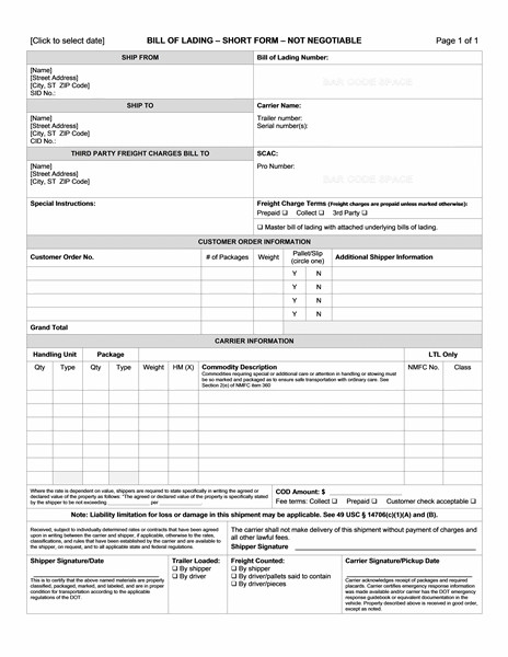 Bill Of Lading Template Excel Bill Lading Template