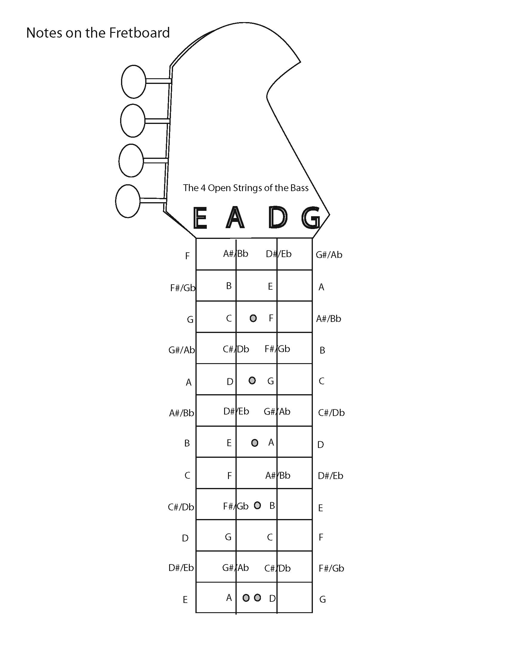 Blank Bass Fretboard Diagram Guitar Neck Diagrams