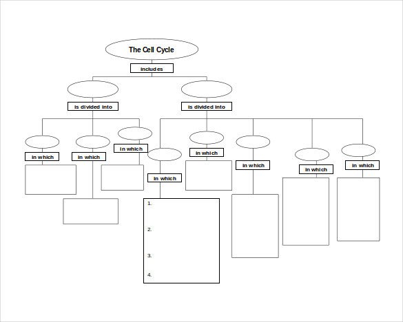 Blank Concept Map Template Sample Concept Map Template 10 Free Documents In Pdf Word