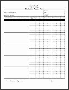 Blank Medication Administration Record Template 4 Line Daily Activity Log Template Sampletemplatess