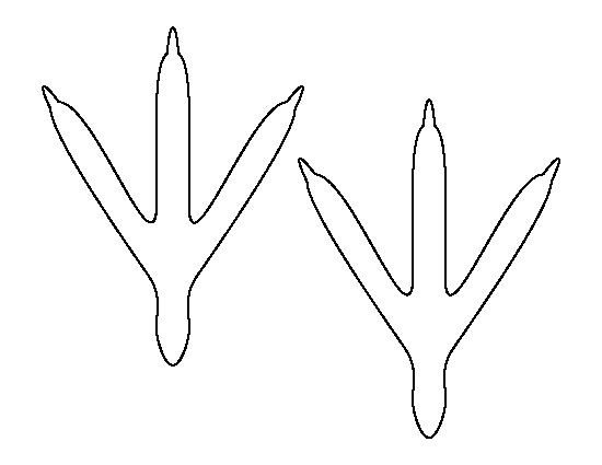 Chicken Feet Template Bird Feet Pattern Use the Printable Outline for Crafts
