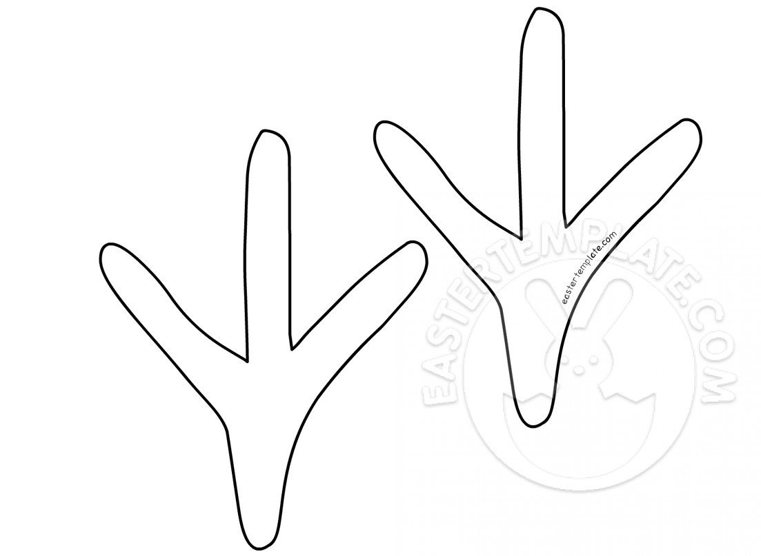 Chicken Feet Template Foot Outline Template Celowithjo