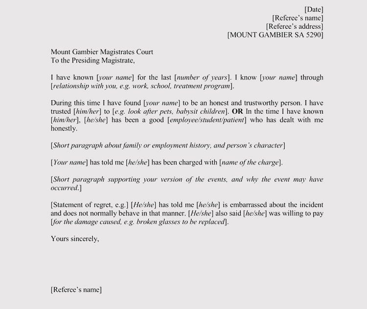 Child Custody Letter Template Character Reference Letter for Court Samples &amp; Templates
