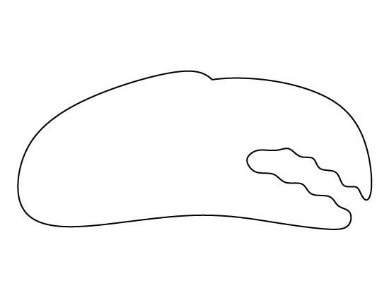 Crab Claw Template 32 Best Images About Vbs 2016 On Pinterest
