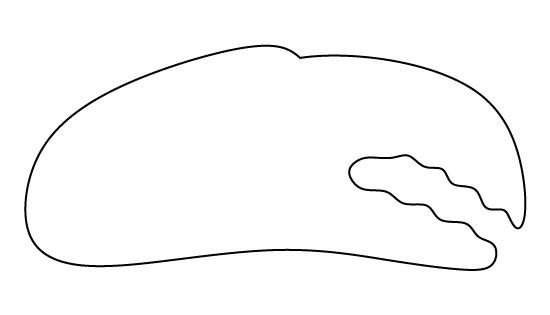 Crab Claw Template Crab Claw Pattern Use the Printable Pattern for Crafts Crab Claw Template Crab Claw Pattern Use the Printable Pattern for Crafts