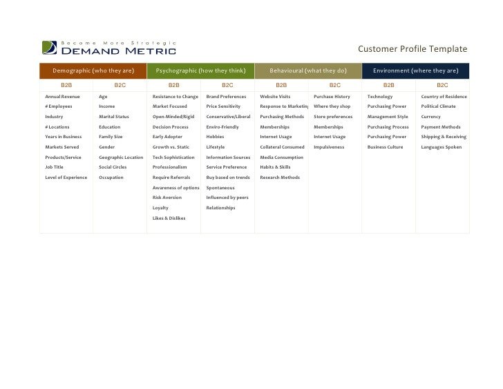 Customer Profile Template Excel Customer Profile Template