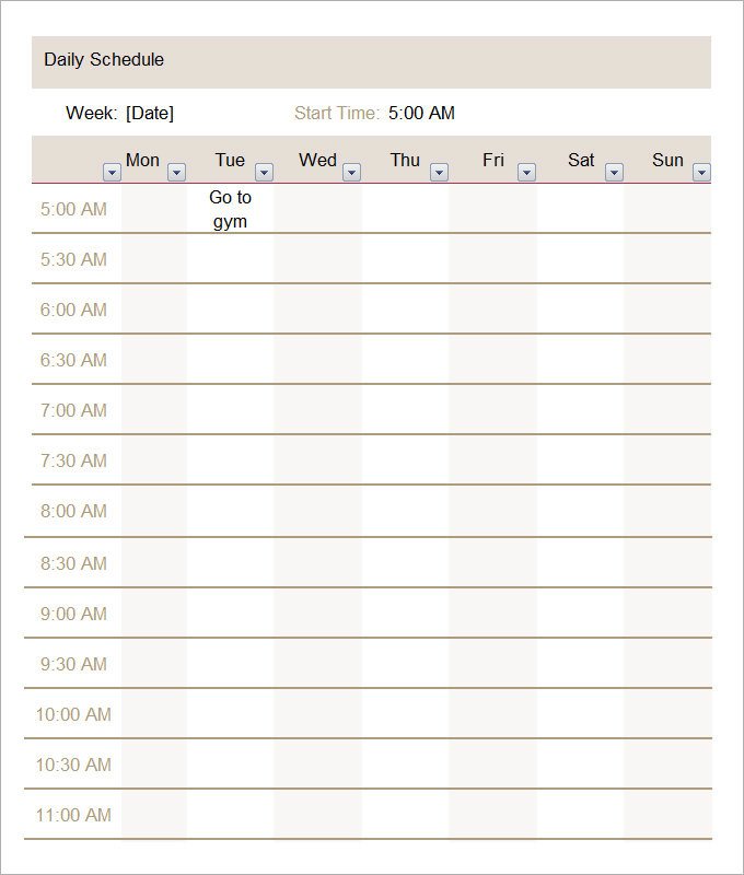 Daily Routine Schedule Template Daily Schedule Template 5 Free Word Excel Pdf