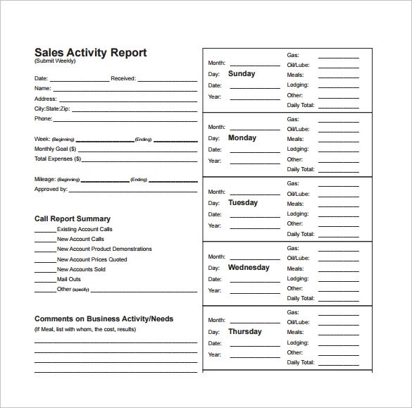 Daily Sales Report Template Sample Sales Report Template 7 Free Documents Download