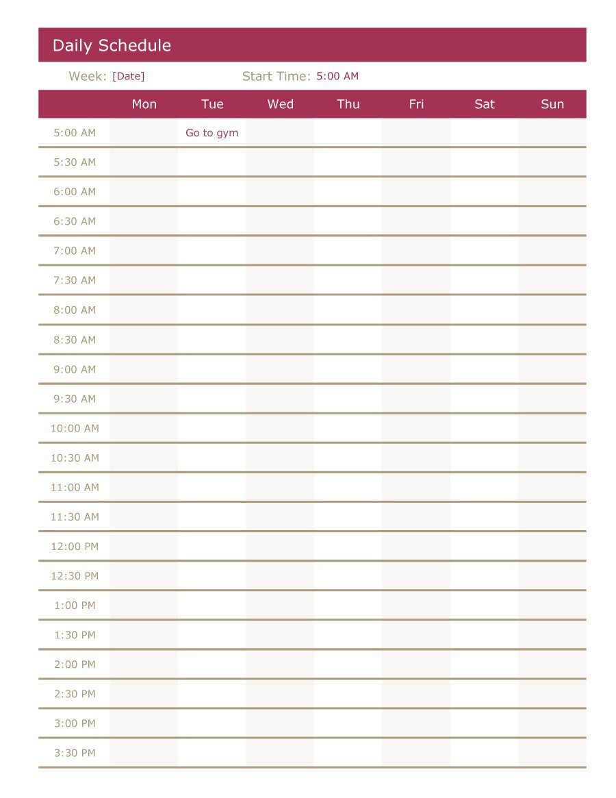 Daily Schedule Template Printable 40 Printable Daily Planner Templates Free Template Lab