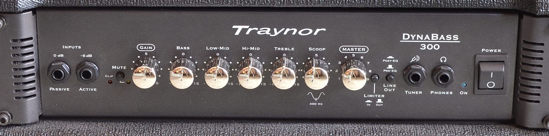 Db 300 form Traynor Db300 Bass Amp