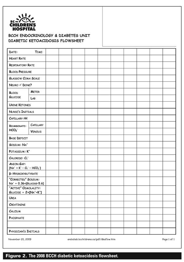 Diabetes Flow Sheet Template Sample Flow Sheets for Nurses Bing