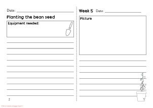 Diary Entry Template for Students Diary Writing Frames and Printable Page Borders Ks1 &amp; Ks2