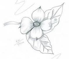 Dogwood Flower Outline 1000 Images About Texas Flowers On Pinterest