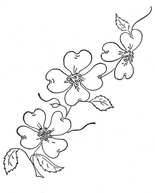 Dogwood Flower Outline 23 Of Dogwood Flower Outline Template