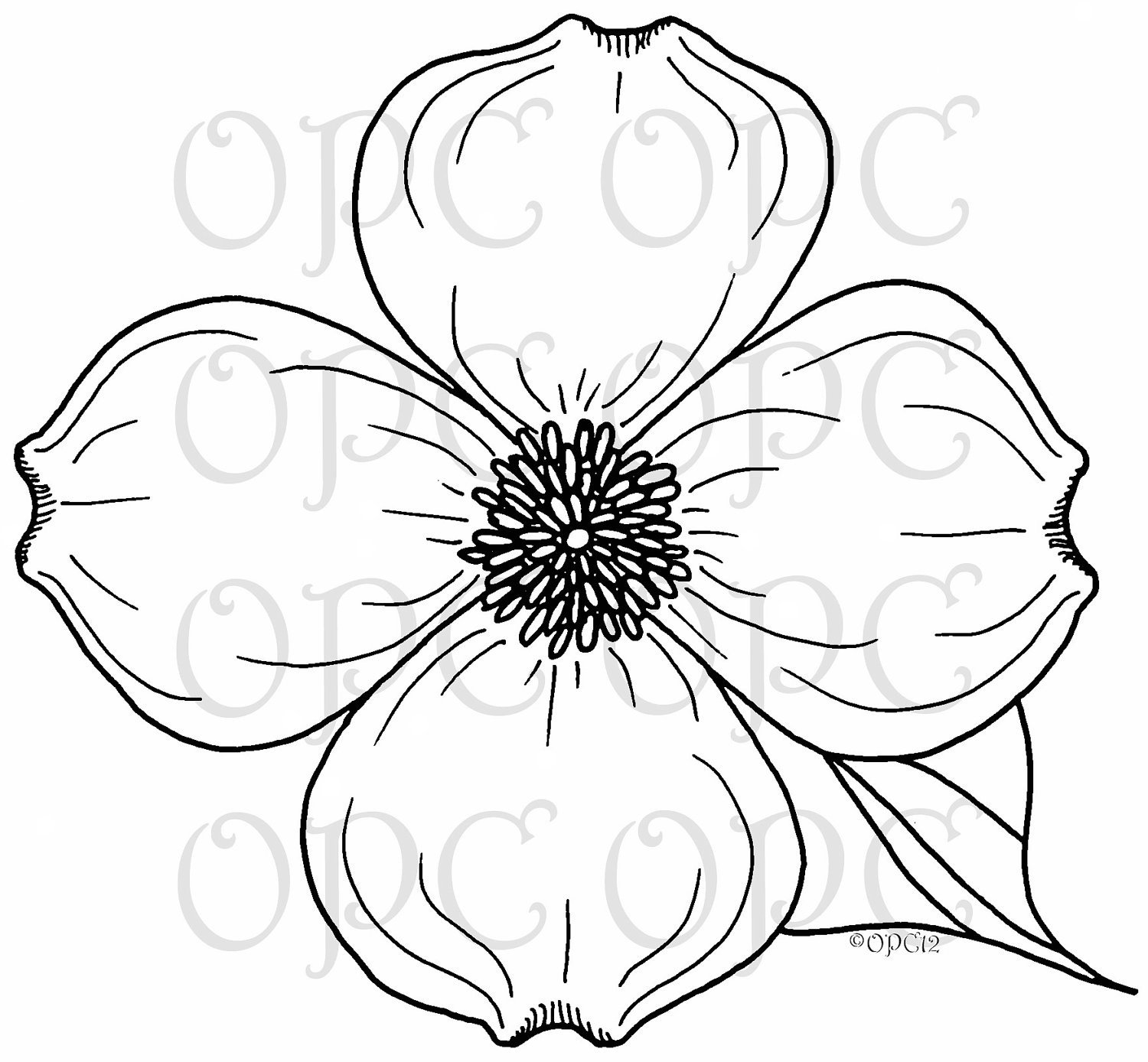 Dogwood Flower Outline Digital Stamp Jessica S Dogwood by Oakpondcreations On Etsy