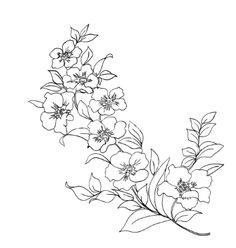 Dogwood Flower Outline Dogwood Flower Drawing Beeswax Flowers