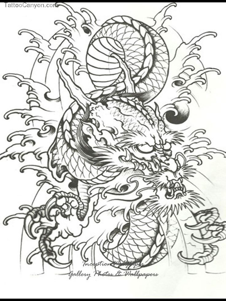 Dragon Tracing Pictures 41 Best Japanese Dragon Head Tattoos for Women Images On
