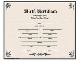 Element Birth Certificate Certificates