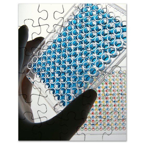 Elisa Plate Template Elisa Test Plate Puzzle by Science Library Cafepress